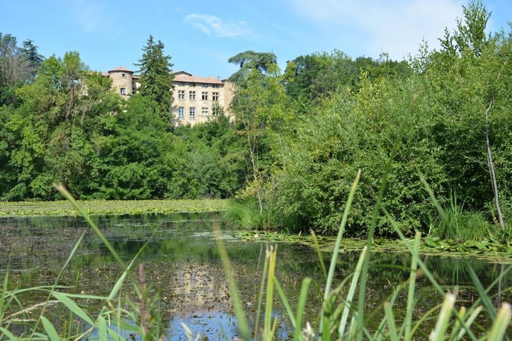 agence attractivite - Etang