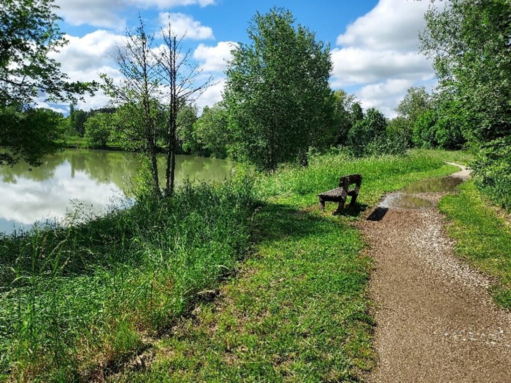 agence attractivite - Etang 4