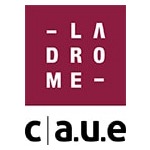 logo CAUE